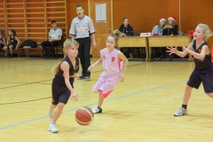 IMG-2472