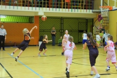 IMG-2482