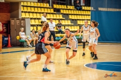 NBR_7983